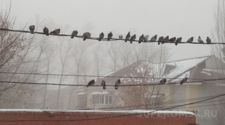 На Омскую область движется континентальный антициклон с похолоданием