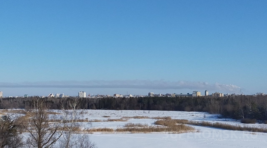 Директор омской школы возглавила новый филиал экоконтроля