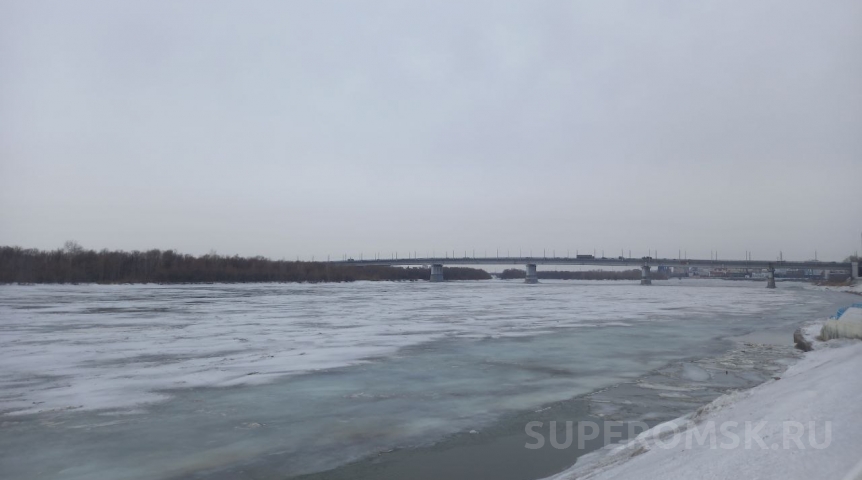 В Омске попавшая в беду стая собак пропала со льда Иртыша