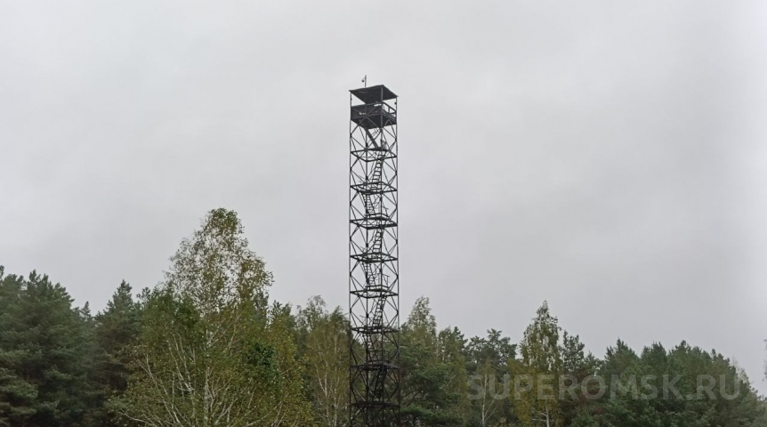 Омичам предлагают заработать на поджигателях леса