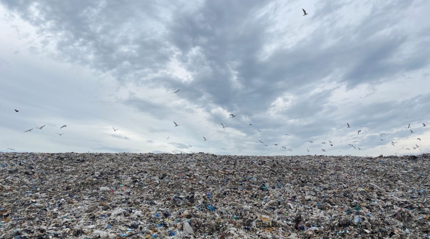 Под омском построят мусорный полигон: где он появится?