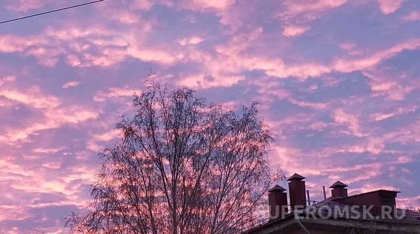 Майские праздники в Омской области будут омрачены