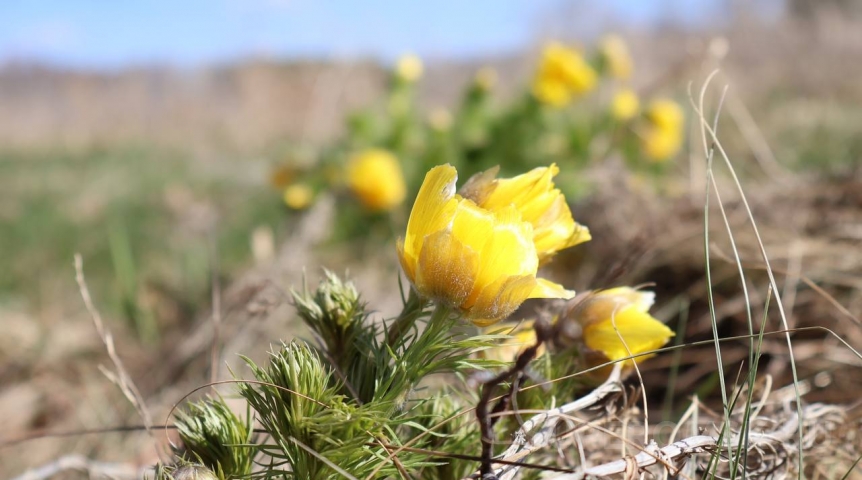 Снег и холод: для Омской области спрогнозировали аномальный май