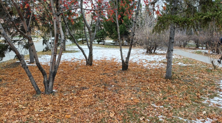Омскую область и Сибирь накроют холода со снегопадами