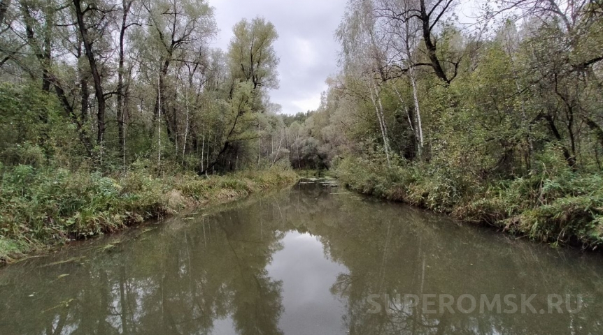 На омской реке замечено опасное явление