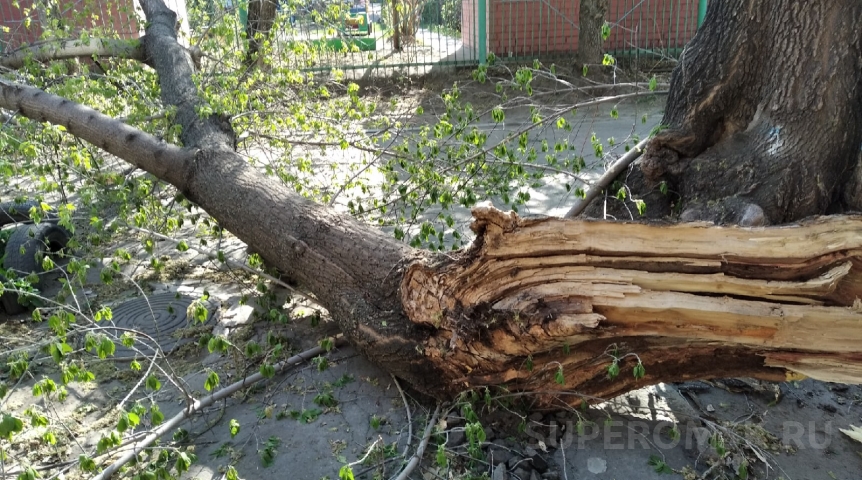 На омичей надвигается природная угроза