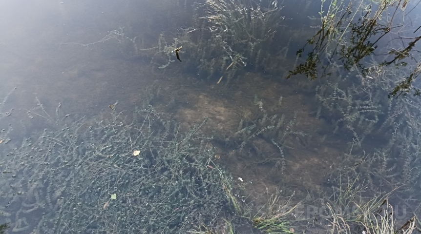 В Омской области разыгралась первая трагедия на воде