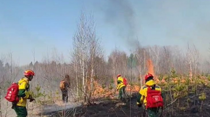 Появилось видео огромного пожара в Омском районе, охватившего 14 гектаров леса