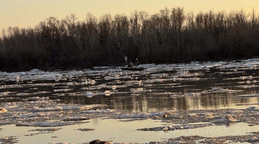 Среди льдин на Иртыше заметили невозмутимого омича