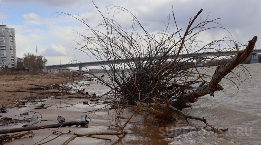 Бобров заподозрили в засорении центра Омска