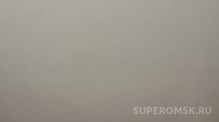 Бывший кандидат в мэры Омска создал политическое движение «Левый фронт»