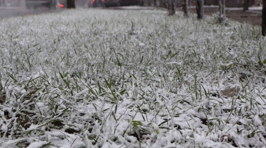 Опасная погода: дойдут ли до Омской области московские заморозки?