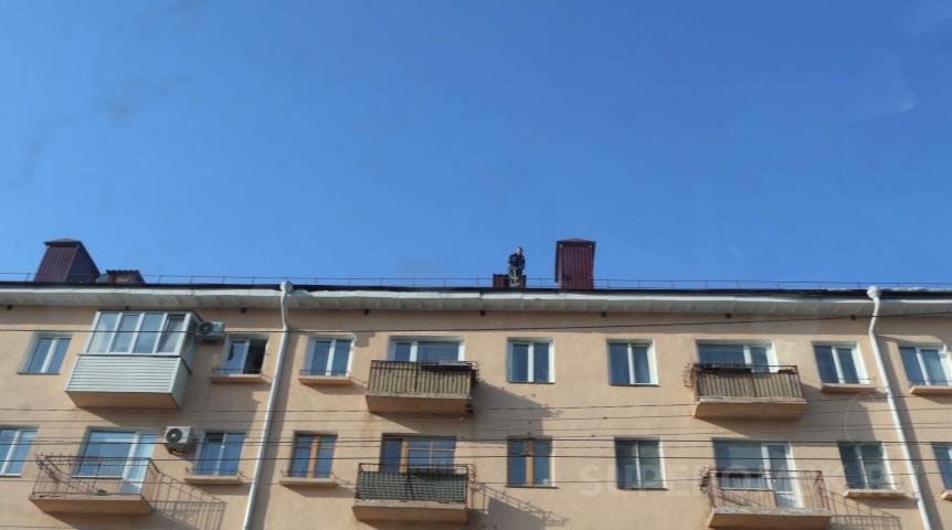 Риелторам Омска сменили президента