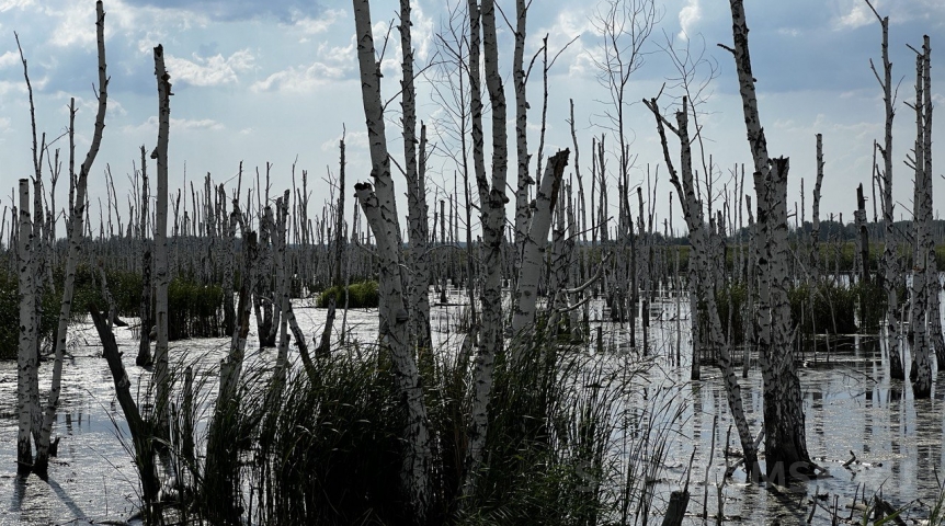 В Омской области ввели режим повышенной готовности из-за паводка под Тюменью