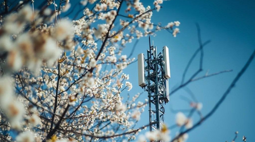 Оператор Т2 усилил мобильный интернет в Ленинском округе Омска