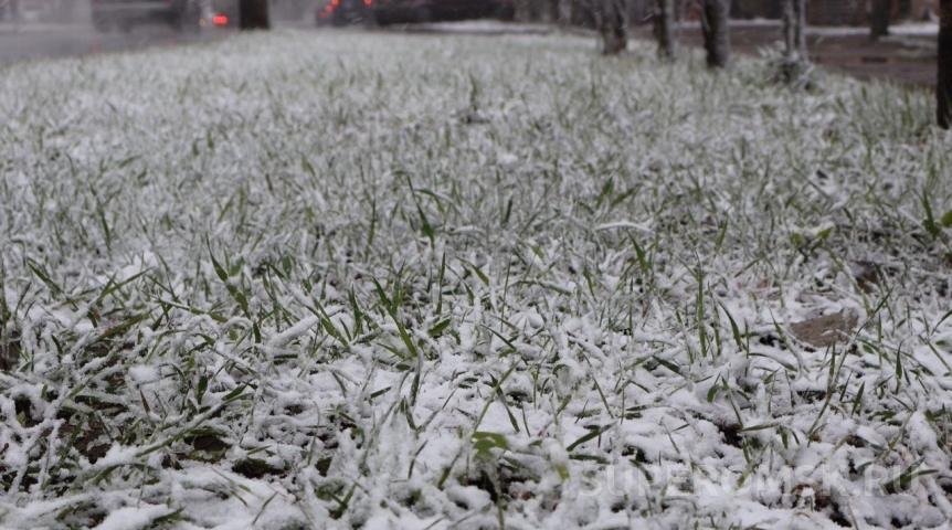 Регионы Сибири завалило снегом: каких осадков ждать в Омской области?