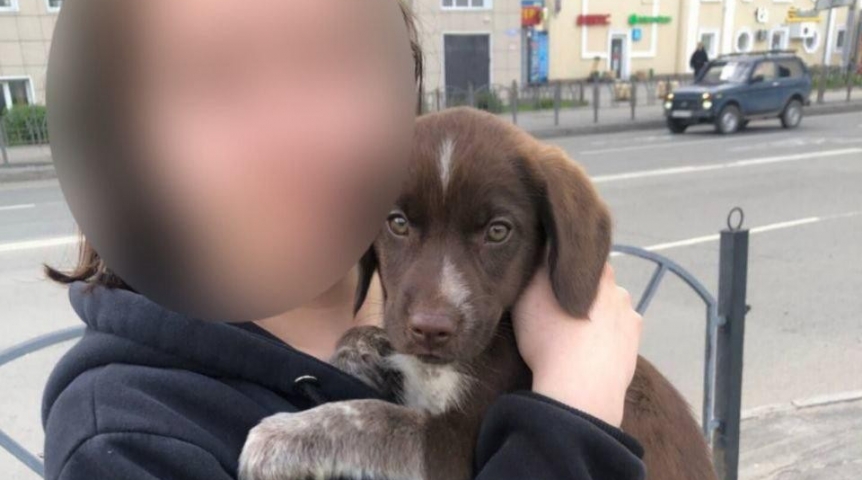 Омские школьницы сделали фото с щенком перед его казнью