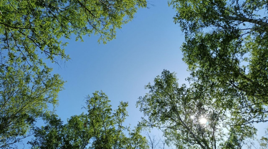 Стало известно, когда в Омск придет жара