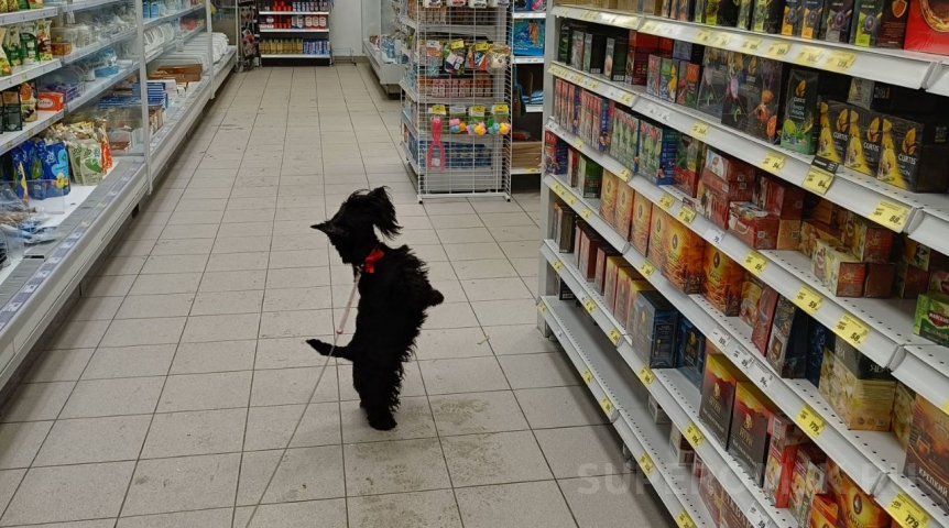 В Омске дистрибьютора крупной сети подозревают в нарушении закона о торговле