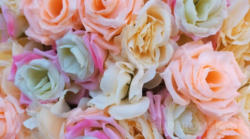 В Омск завезли цветы с опасным вредителем