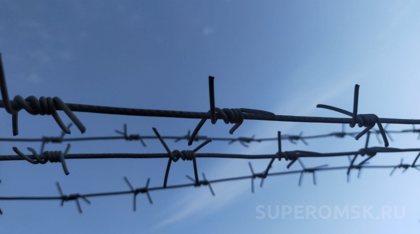 Омича отправили в колонию за словесную поддержку террористов