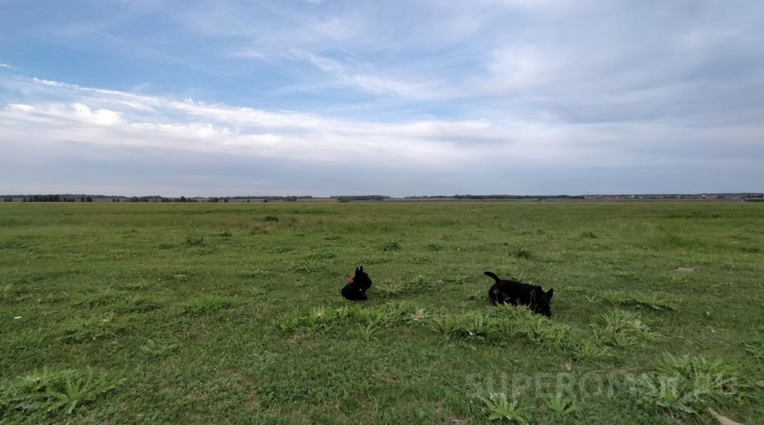 Градус в Омске будет повышаться