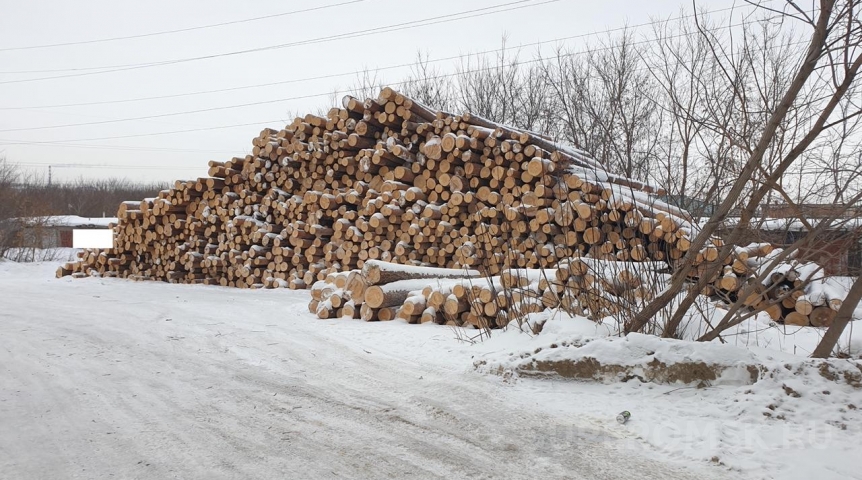 Под Омском покусились на природоохранную лесную зону