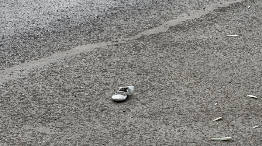 Омские следователи заявили о продолжении поисков школьницы Милены