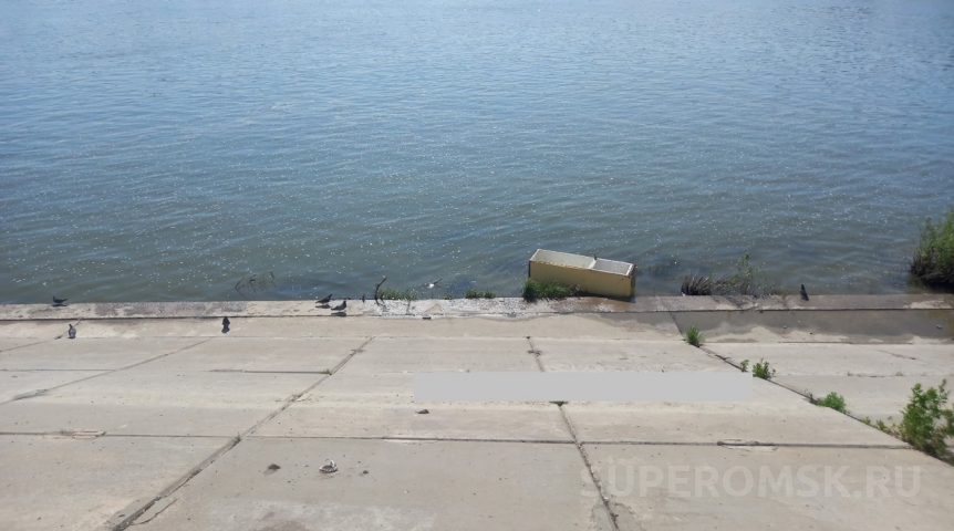В Иртыше в центре Омска к берегу прибило неожиданную находку
