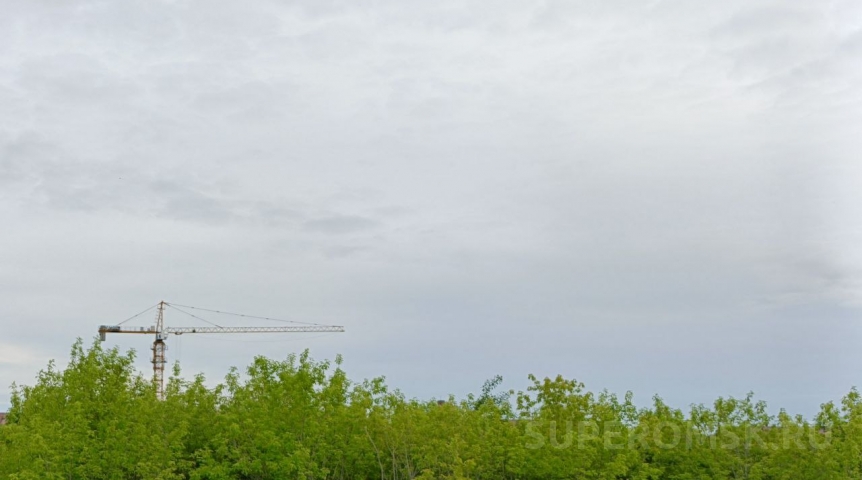 На Левобережье Омска оформляют две зеленые зоны