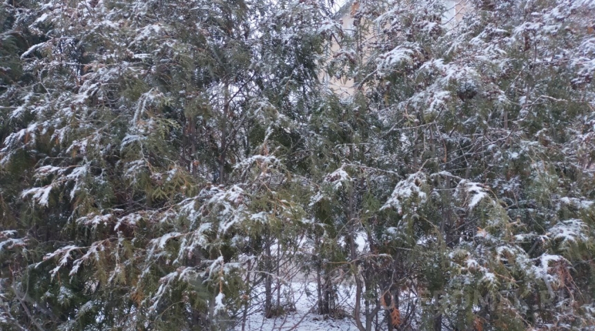 В Омской области похолодает до нуля