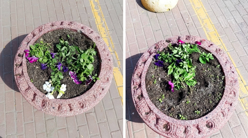 У Шелеста возникли вопросы к вандалам, напакостившим в Омской крепости