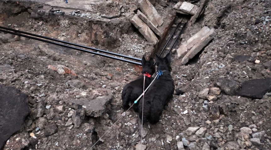 Тарифы на отопление изменят ради срочного ремонта тепловых сетей