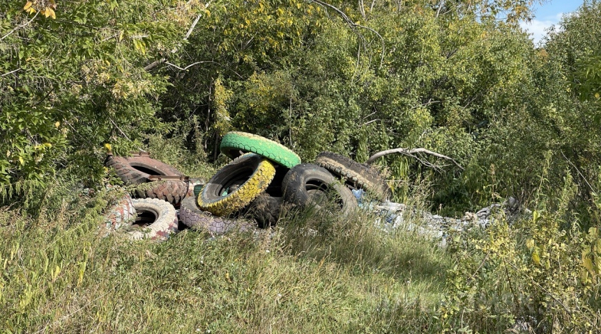 Власти собрали оперштаб из-за горящей несколько дней свалки под Омском