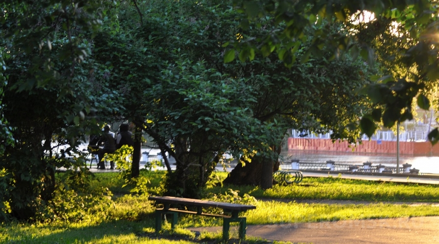 Омскую область опять накроет мощное «пекло» до +33 °C