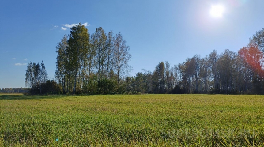Утомительная жара в Омске затянется надолго
