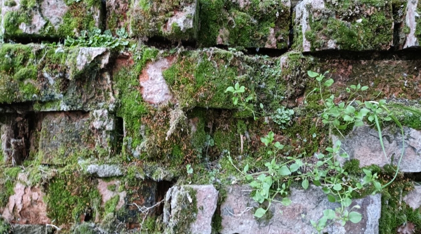 В Старом Кировске Омска признали аварийной ожидающую капремонта многоэтажку