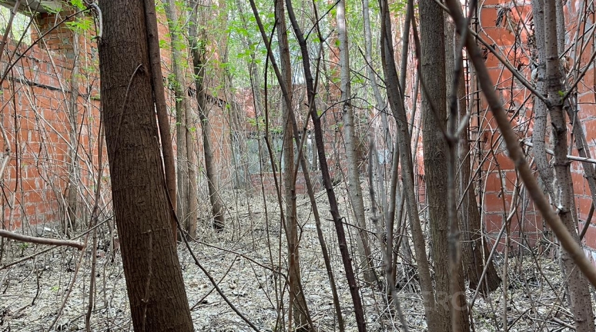 В лесах у Омского ГАУ снесли коттеджный поселок