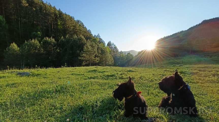 Жара отступила из Омска ненадолго