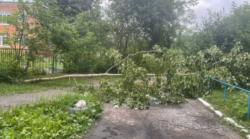 В омском УДХБ ответили по срокам уборки поваленных ураганом деревьев