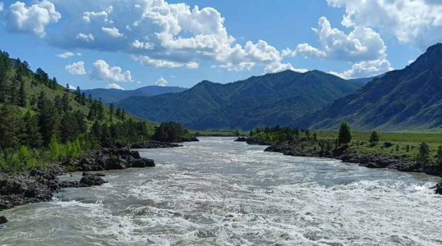 Омича унесло течением на Алтае