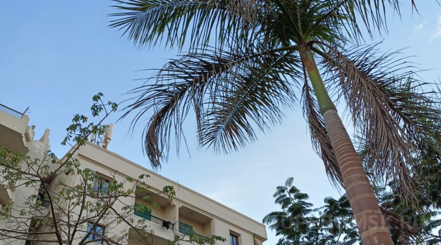 Омичи скупили сотни путевок на Мальдивы