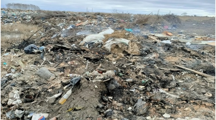 Омскую «Птицефабрику Любинскую» привлекли за свалку с птичьим пометом