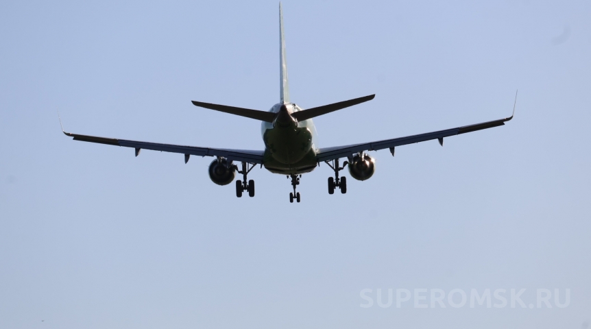 Появилось фото самолета после крушения под Омском