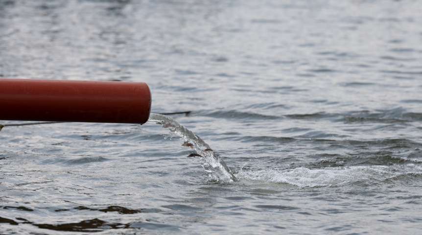 Омский НПЗ выпустил в Иртыш 110 тысяч мальков краснокнижного осетра