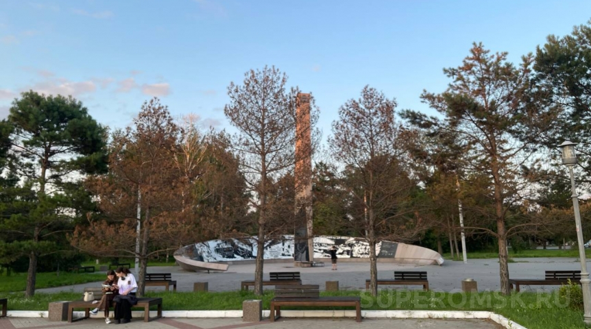 У стелы «Город трудовой доблести» в Омске начали вянуть деревья