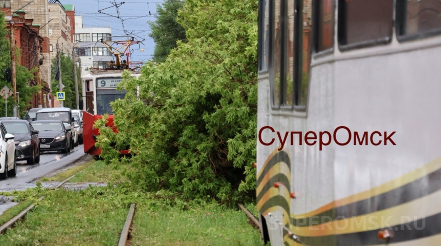 Ураган остановил трамваи в центре Омска