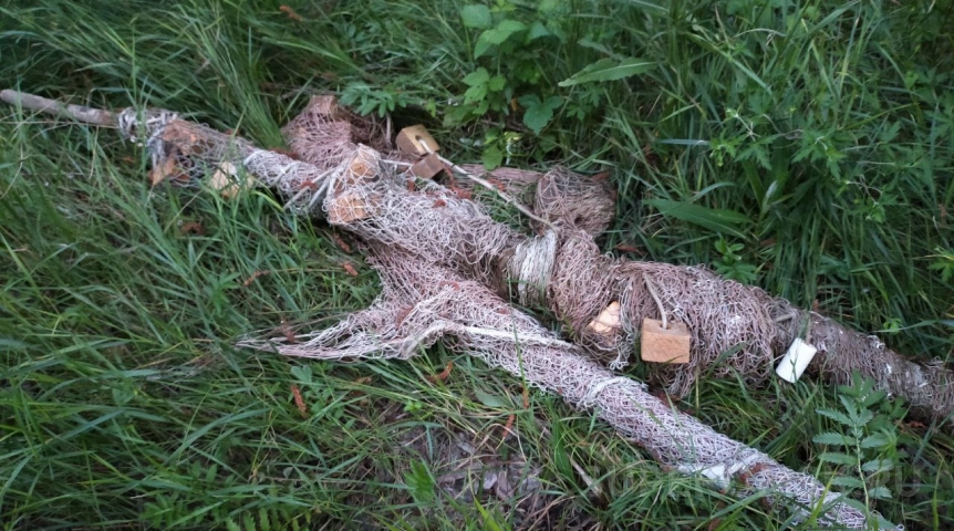 Рыбаки показали гигантских карпов с улова под Омском