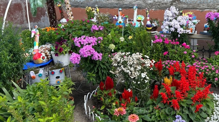 Власти Омска показали самые яркие дворы ЛАО