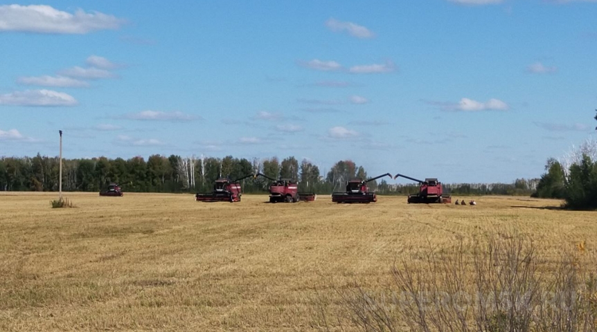 Омский тракторист погиб страшной смертью при заготовке сена